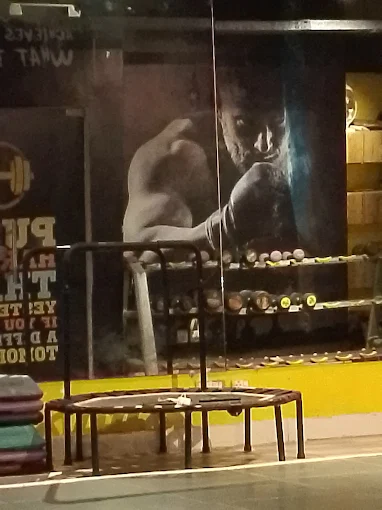 Cardio zone at XTREME FITNESS